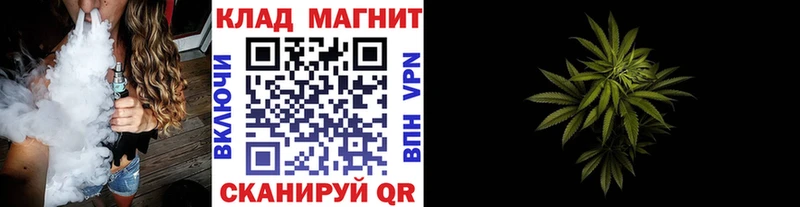 Магазины продажи наркотиков Домодедово Галлюциногенные грибы  COCAIN  Кетамин  МЕТАДОН  СК  Гашиш  МЕФ 
