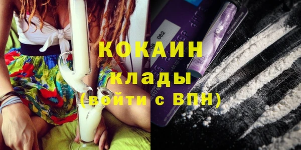 ГАЛЛЮЦИНОГЕННЫЕ ГРИБЫ Надым