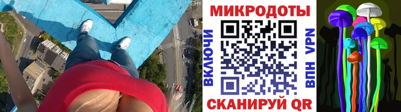 блэк спрут как войти  Домодедово  Галлюциногенные грибы Psilocybine cubensis 