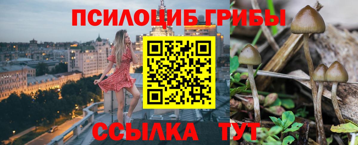 Домодедово  Галлюциногенные грибы Magic Shrooms  Вход с VPN  Галлюциногенные грибы MAGIC MUSHROOMS 