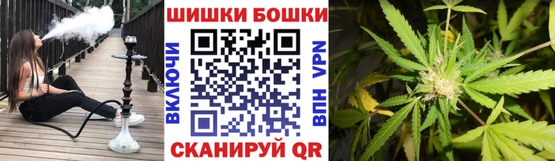 магазин    Домодедово  Бошки марихуана Bruce Banner 